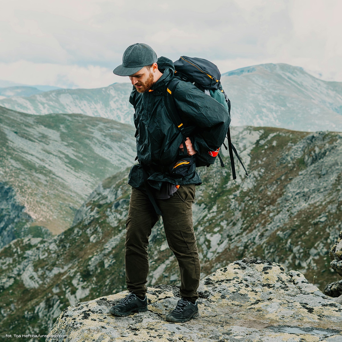 kurtkiwgory2_1200x1200