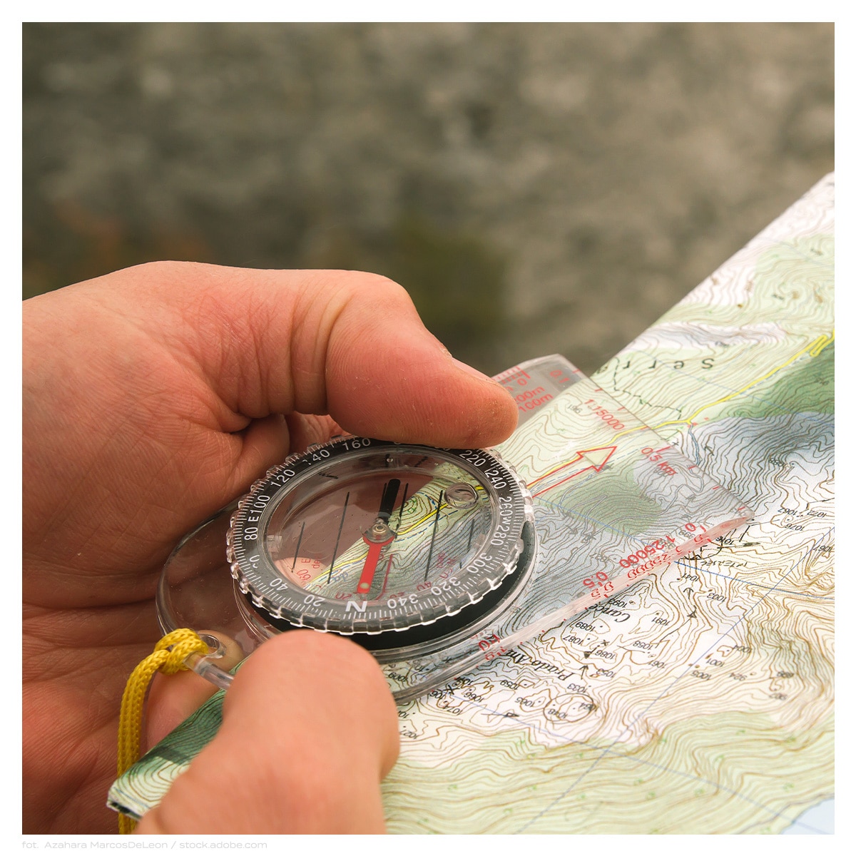 Orienteering1200x1200_tresc