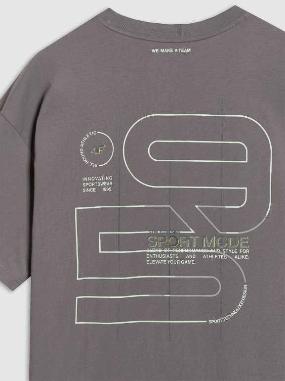 Męski t-shirt z nadrukiem 4F 4FRAW25TTSHM3220 - szary