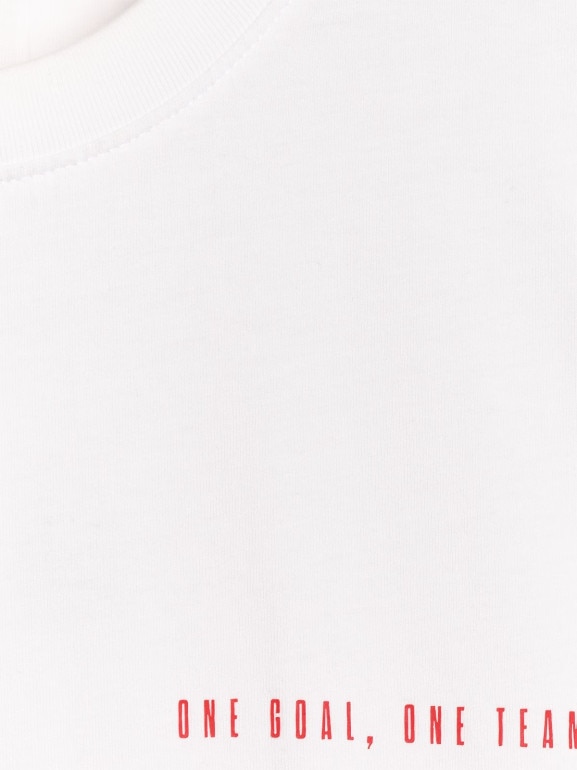 Męski t-shirt z nadrukiem 4F 4FRAW25TTSHM3226 - czerwony