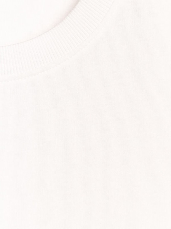 Męski t-shirt z nadrukiem 4F 4FRAW25TTSHM3237 - biały