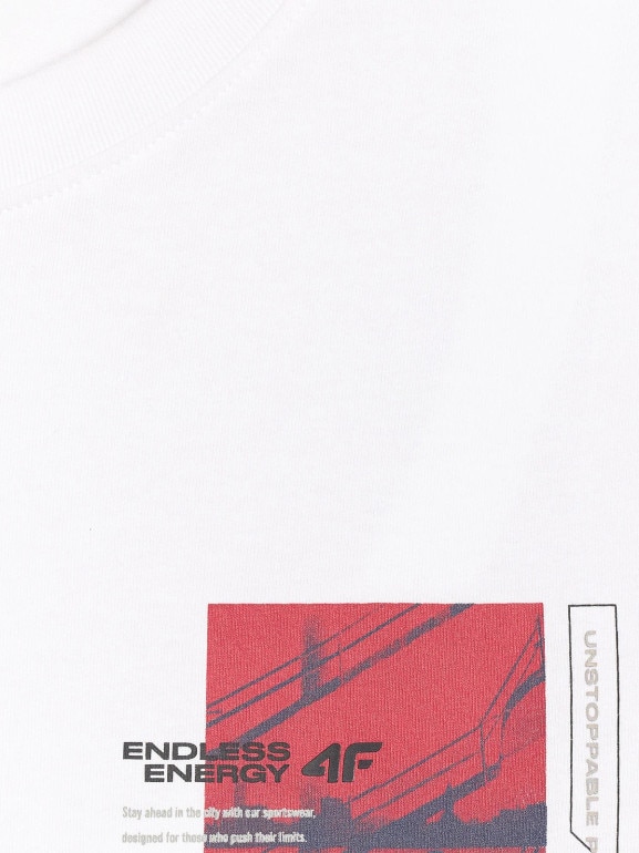 Męski t-shirt z nadrukiem 4F 4FRAW25TTSHM3256 - biały