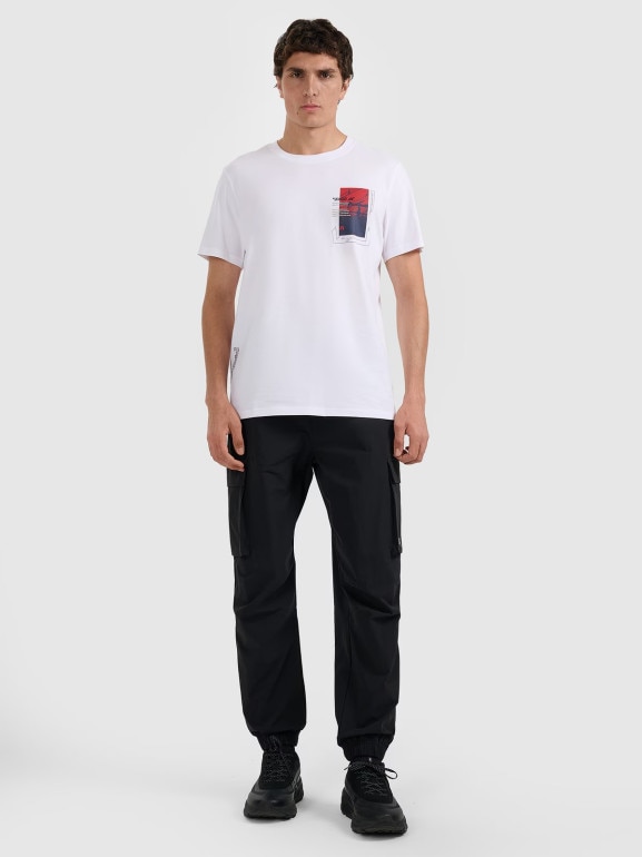 Męski t-shirt z nadrukiem 4F 4FRAW25TTSHM3256 - biały