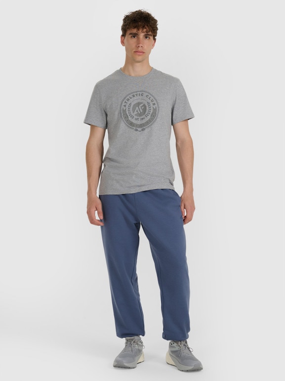 Męski t-shirt z nadrukiem 4F 4FRAW25TTSHM3338 - szary