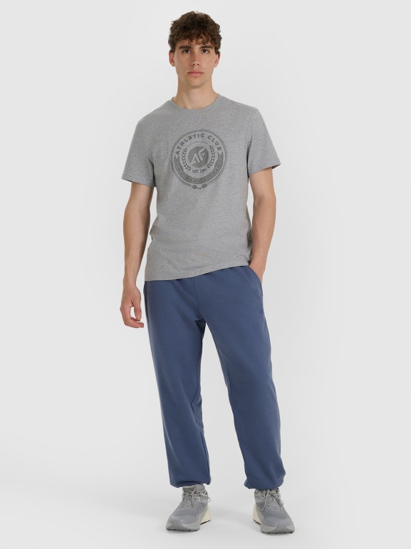 Męski t-shirt z nadrukiem 4F 4FRAW25TTSHM3338 - szary