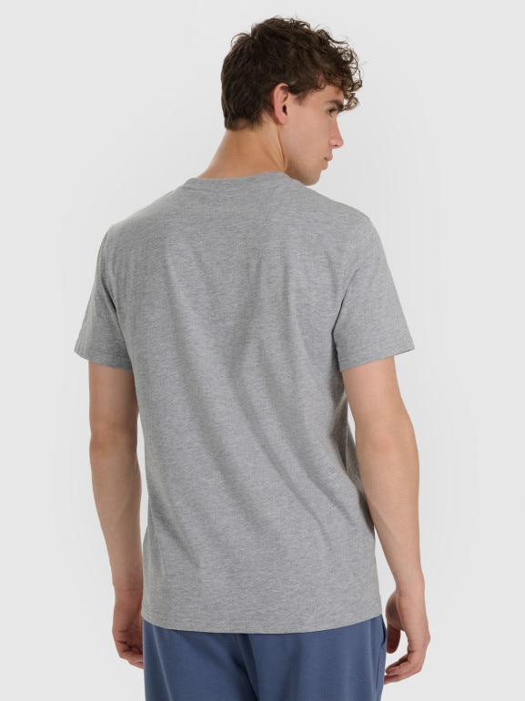 Męski t-shirt z nadrukiem 4F 4FRAW25TTSHM3338 - szary