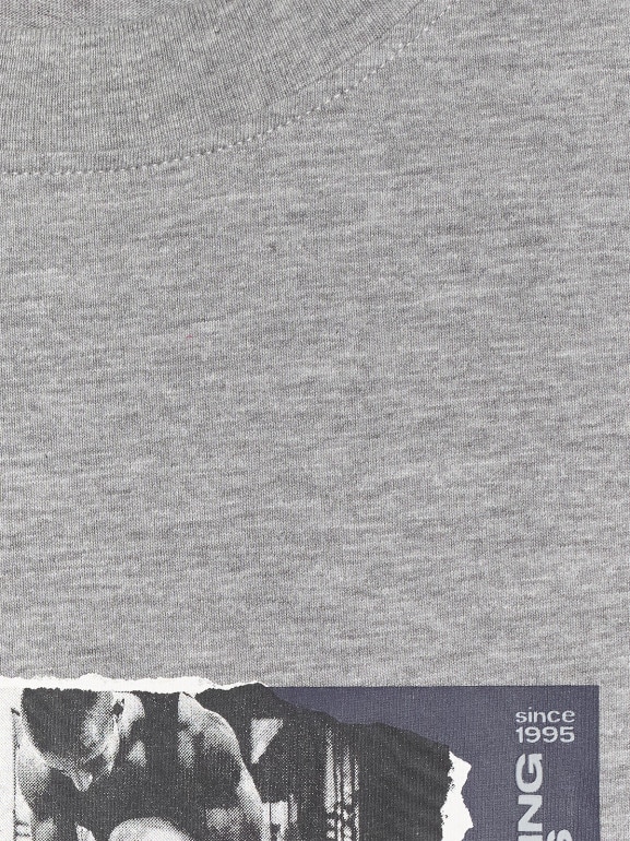 Męski t-shirt z nadrukiem 4F 4FRAW25TTSHM3364 - szary