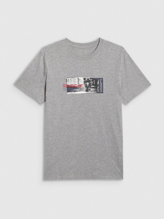 Męski t-shirt z nadrukiem 4F 4FRAW25TTSHM3364 - szary