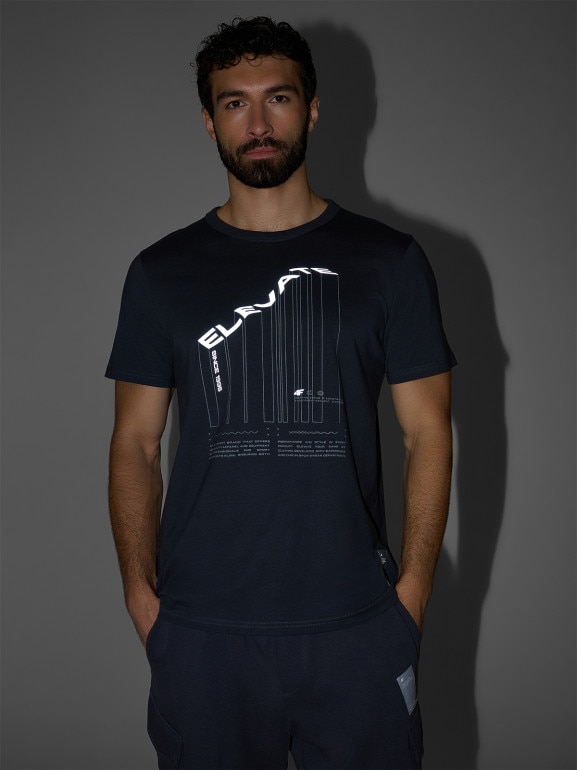 Męski t-shirt z nadrukiem 4F 4FRAW25TTSHM3845 - szary