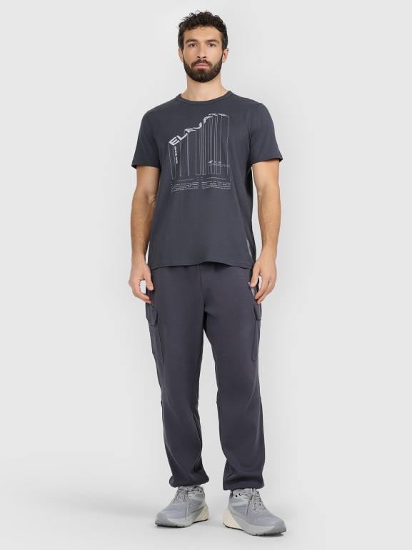 Męski t-shirt z nadrukiem 4F 4FRAW25TTSHM3845 - szary