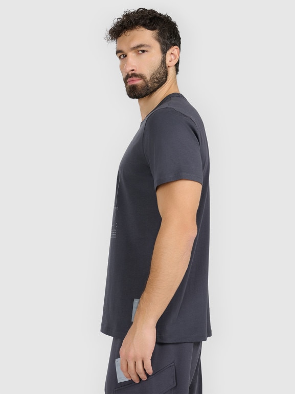 Męski t-shirt z nadrukiem 4F 4FRAW25TTSHM3845 - szary