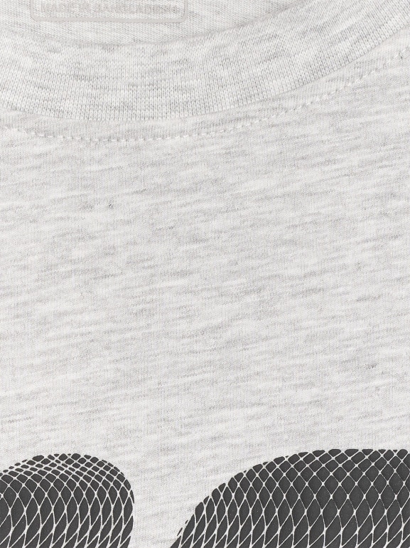 Męski t-shirt z nadrukiem 4F 4FRMM00TTSHM3251 - szary