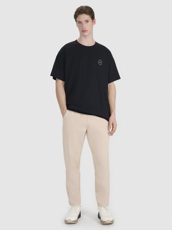 Męskie spodnie dresowe 4F 4FRSS25TTROM1447 - beżowe