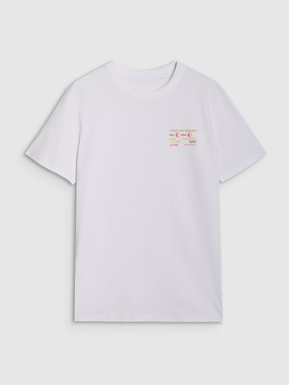 Męski t-shirt z nadrukiem 4F 4FRSS25TTSHM2994 - biały