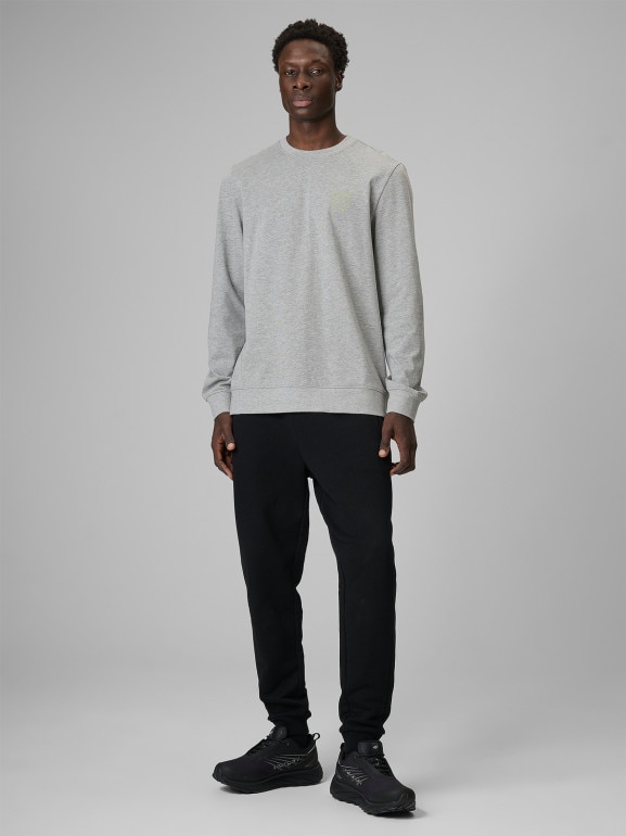 Męski longsleeve bez nadruku 4F 4FRSS26TLONM671 - szary