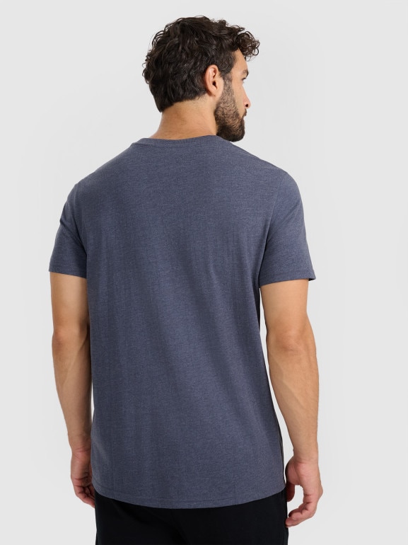 Męski t-shirt z nadrukiem 4F 4FWAW25TTSHM3126 - szary