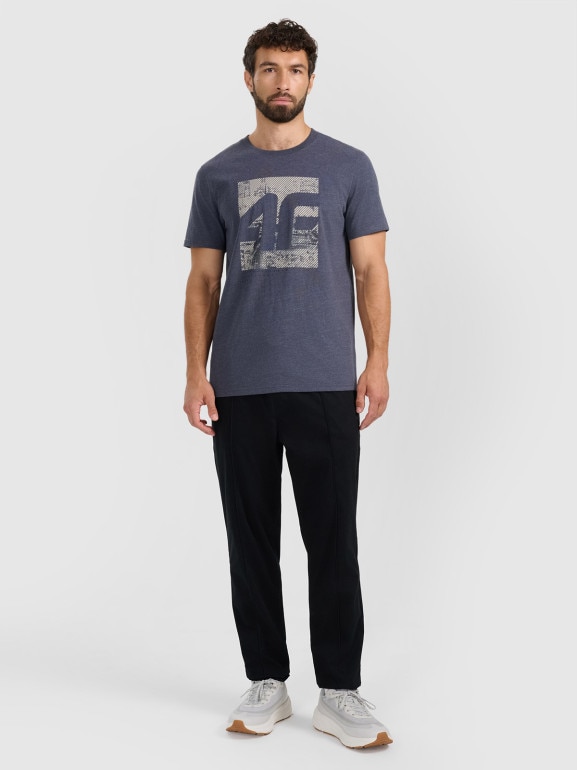 Męski t-shirt z nadrukiem 4F 4FWAW25TTSHM3126 - szary
