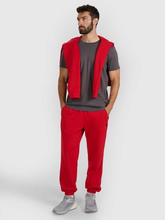 Męski t-shirt z nadrukiem 4F 4FWAW25TTSHM3131 - szary