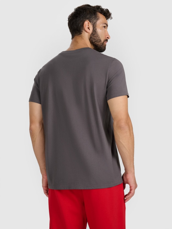 Męski t-shirt z nadrukiem 4F 4FWAW25TTSHM3131 - szary