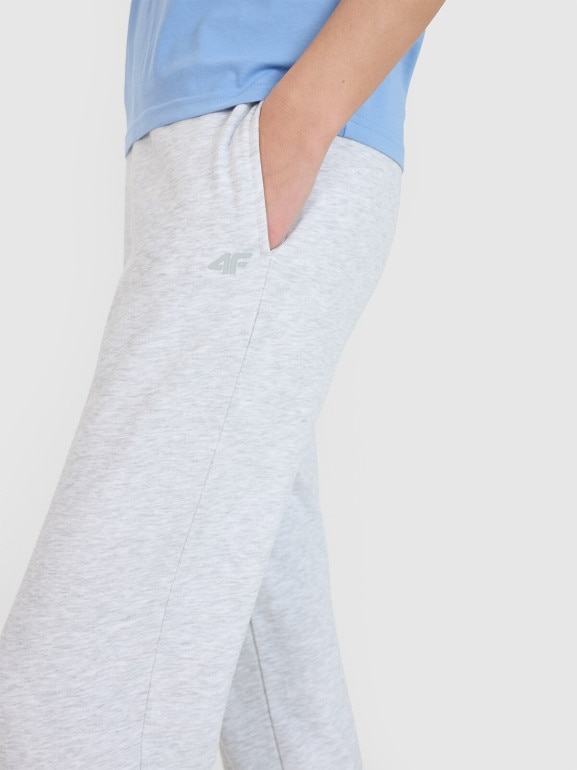 Damskie spodnie dresowe joggery 4F 4FWMM00TTROF1386 - szare