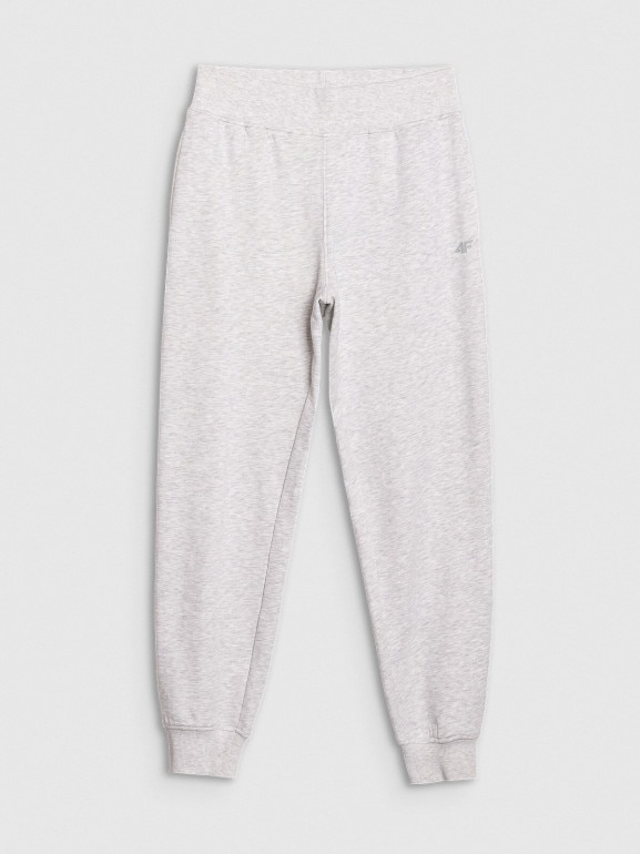 Damskie spodnie dresowe joggery 4F 4FWMM00TTROF1386 - szare