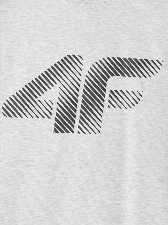 Męski t-shirt z nadrukiem 4F 4FWMM00TTSHM2257 - biały