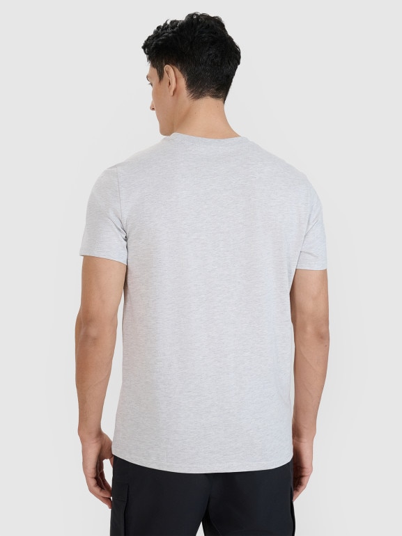 Męski t-shirt z nadrukiem 4F 4FWMM00TTSHM2658 - szary