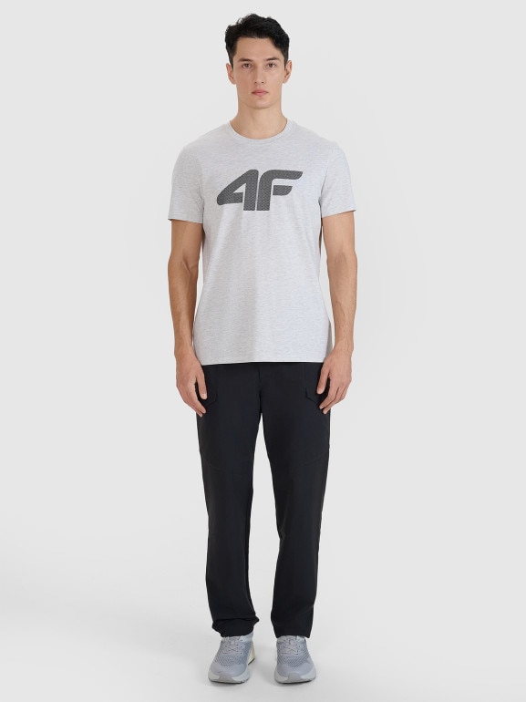 Męski t-shirt z nadrukiem 4F 4FWMM00TTSHM2658 - szary
