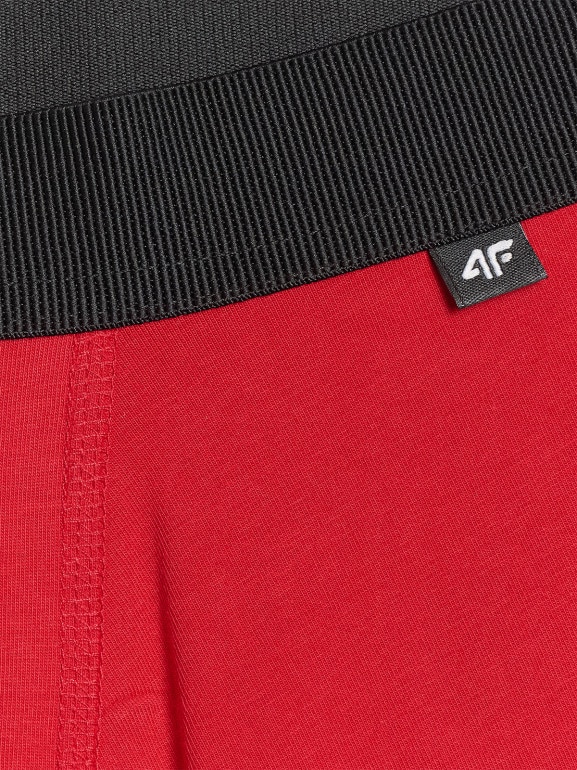 Męskie bokserki (2-pack) 4F 4FWMM00UBXSM059 - multikolor