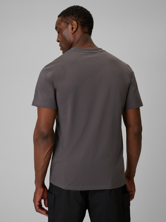 Męski t-shirt z nadrukiem 4F 4FWSS26TTSHM2825 - szary