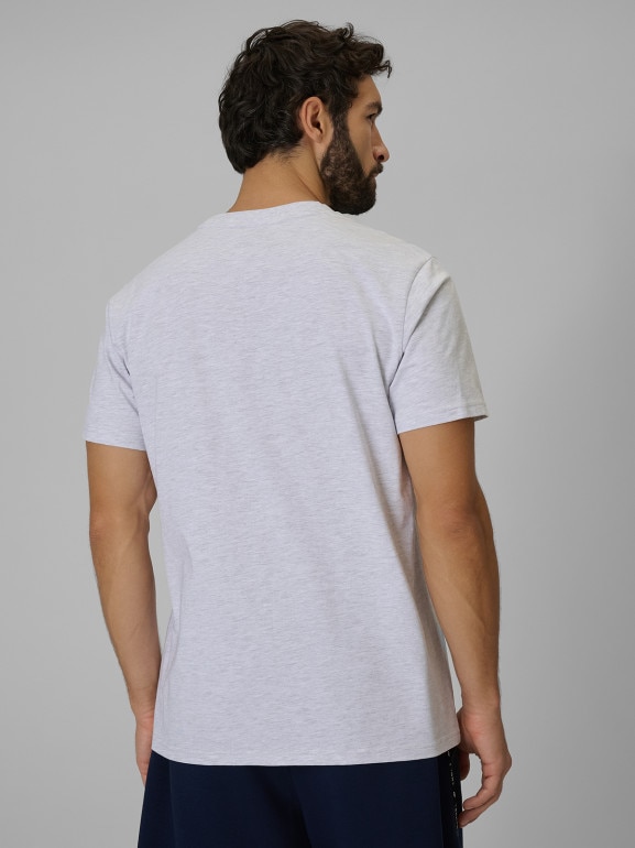 Męski t-shirt z nadrukiem 4F 4FWSS26TTSHM3330 - szary