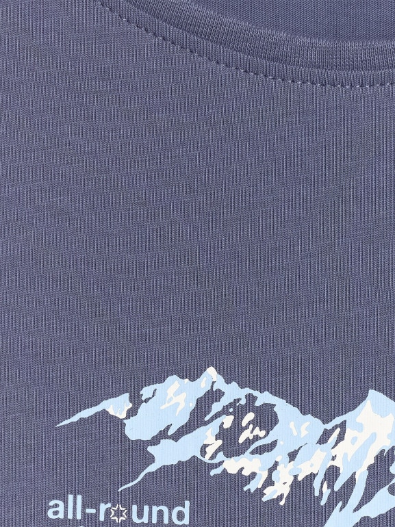 Damski t-shirt z nadrukiem 4F 4FWAW25TTSHF2713 - niebieski