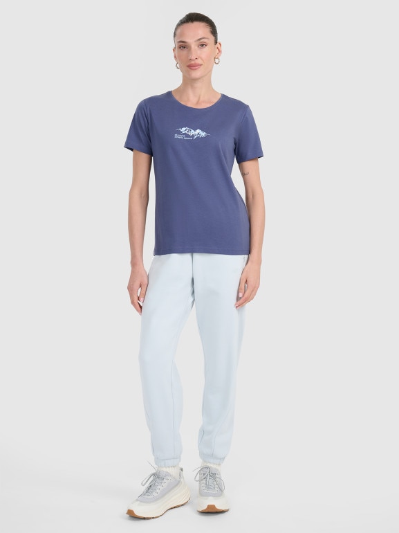 Damski t-shirt z nadrukiem 4F 4FWAW25TTSHF2713 - niebieski