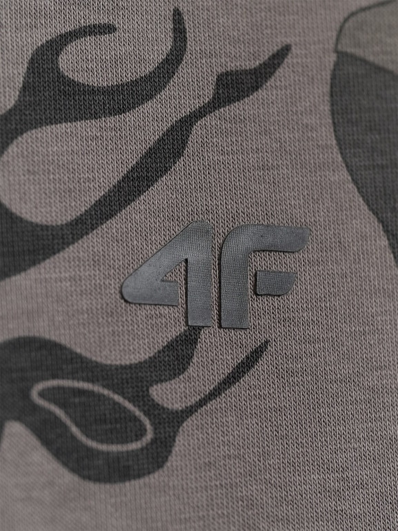 Chłopięca bluza nierozpinana z kapturem 4F 4FJRAW25TSWSM2343 - szara