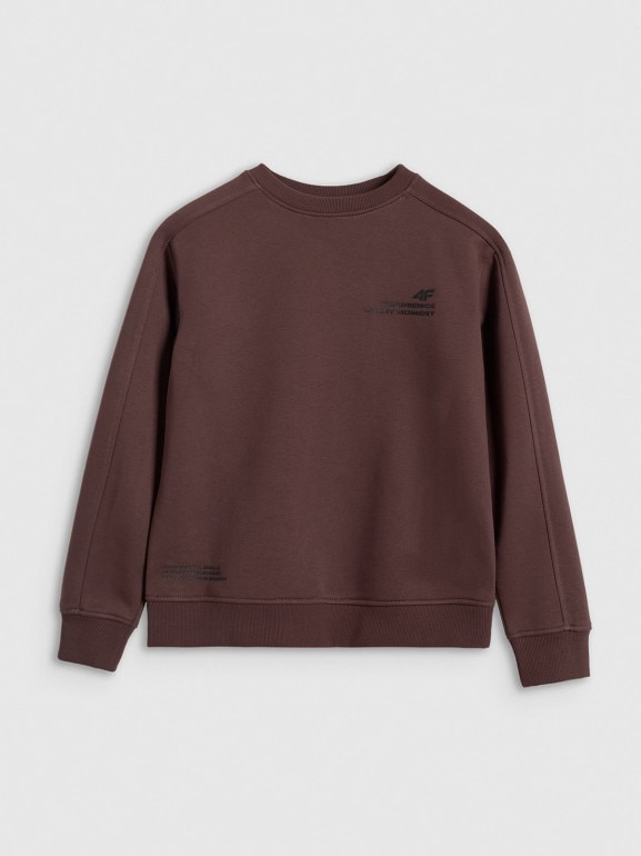 Chłopięca bluza nierozpinana bez kaptura 4F 4FJRAW25TSWSM2413 - brązowa
