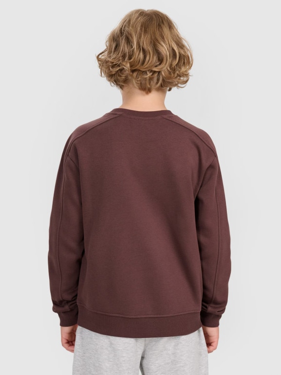 Chłopięca bluza nierozpinana bez kaptura 4F 4FJRAW25TSWSM2413 - brązowa