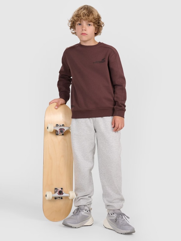 Chłopięca bluza nierozpinana bez kaptura 4F 4FJRAW25TSWSM2413 - brązowa