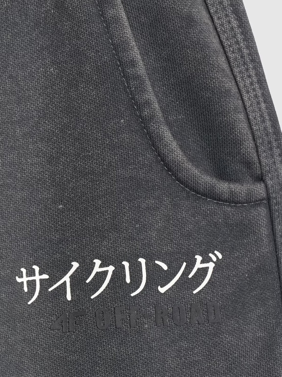 Chłopięce spodnie dresowe joggery 4F 4FJRAW25TTROM1528 - szare