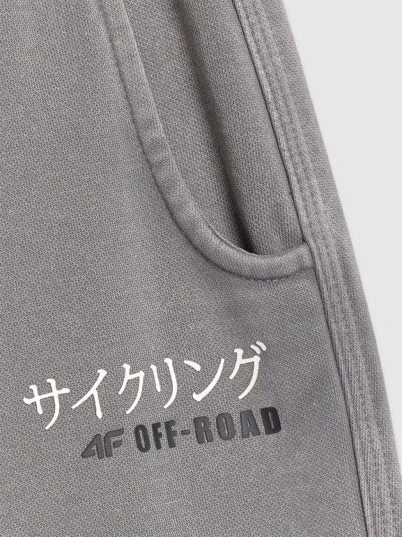 Chłopięce spodnie dresowe joggery 4F 4FJRAW25TTROM1528 - szare