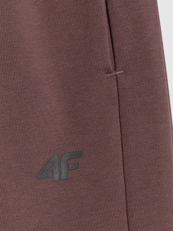 Chłopięce spodnie dresowe joggery 4F 4FJRAW25TTROM1578 - brązowe