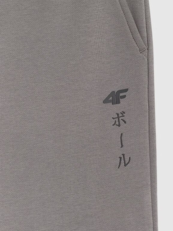 Chłopięce spodnie dresowe joggery 4F 4FJRAW25TTROM1663 - szare