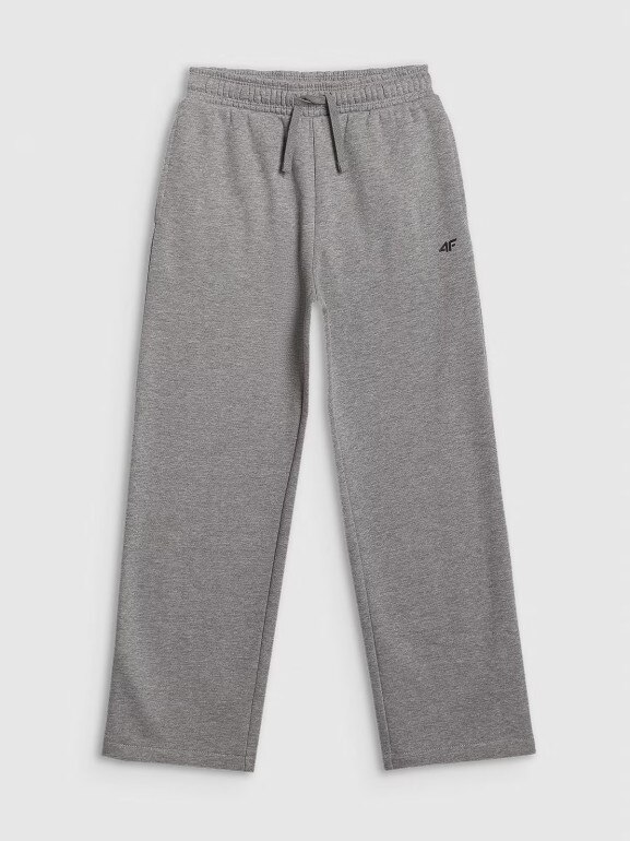 Chłopięce spodnie dresowe 4F 4FJRAW25TTROM1670 - szare
