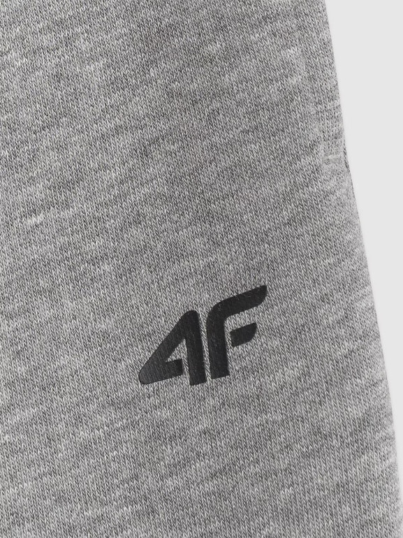 Chłopięce spodnie dresowe 4F 4FJRAW25TTROM1670 - szare