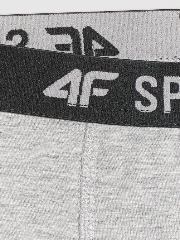 Chłopięce bokserki (3-pack) 4F 4FJRSS26UBXSM094 - multikolor