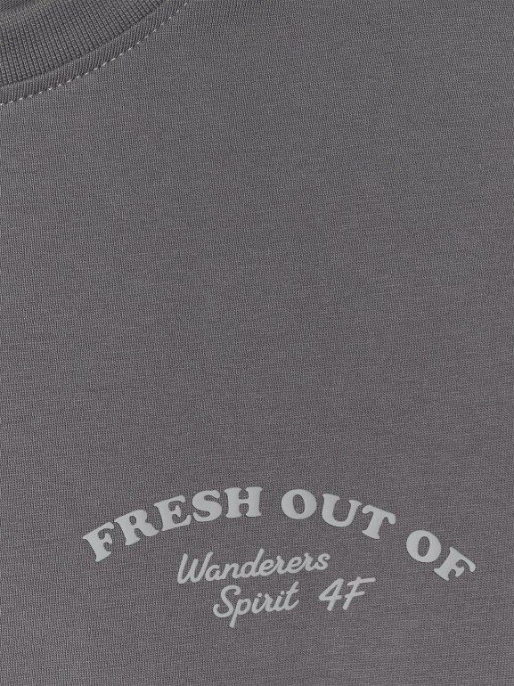Chłopięcy longsleeve z nadrukiem 4f 4FJWSS26TLONM535 - szary