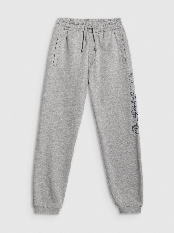 Chłopięce spodnie dresowe 4F 4FJRSS26TTROM1733 - szare