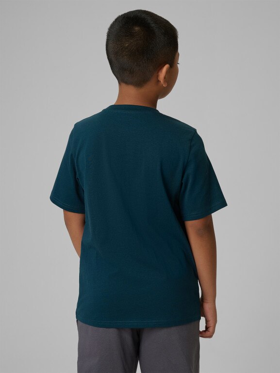 Chłopięcy t-shirt basic (2-pack) 4F 4FJRSS26TTSHM4013 - multikolor