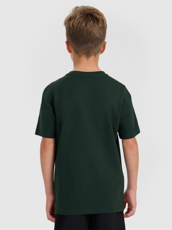 Chłopięcy t-shirt z nadrukiem 4F 4FJRAW25TTSHM3168 - zielony