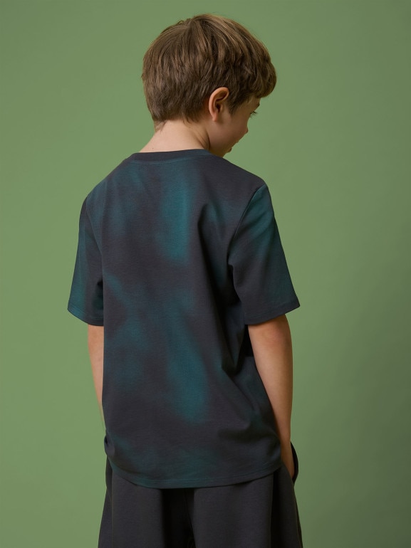 Chłopięcy t-shirt z nadrukiem 4F 4FJRSS26TTSHM3693 - szary