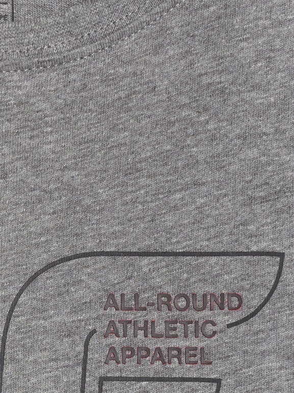 Chłopięcy t-shirt z nadrukiem 4F 4FJWAW25TTSHM2417 - szary